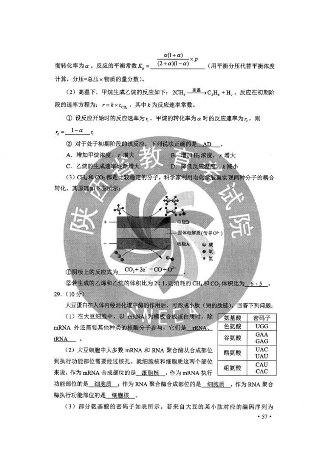 2024年正版资料免费大全一肖_最新答案解释落实_GM版v39.32.94