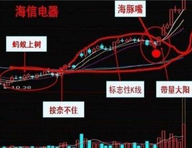 2024澳门特马今晚开奖图纸_最佳选择_GM版v13.86.96