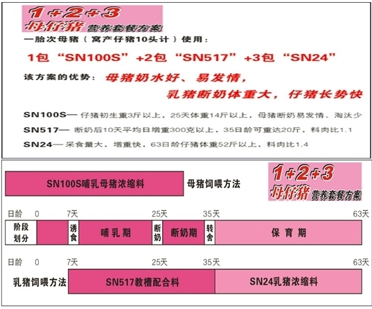 2024新澳精准正版资料_详细解答解释落实_3DM11.06.31