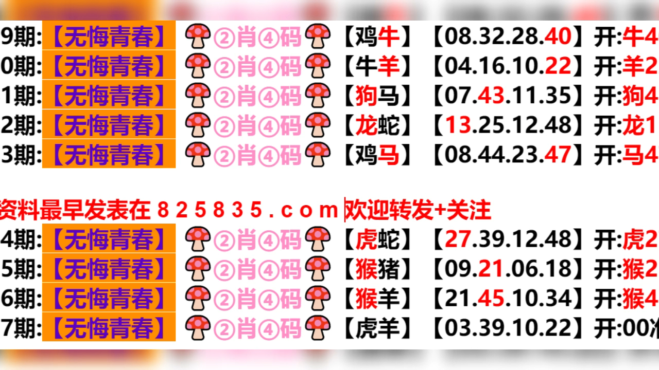 2024新澳门天天开好彩大全孔的五伏_放松心情的绝佳选择_实用版865.371