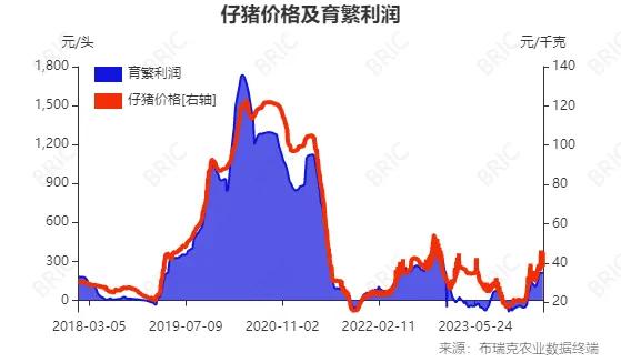 新澳门天天好彩_最佳选择_3DM95.22.99