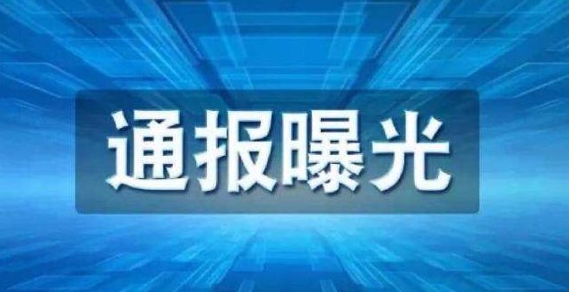 二十届中央巡视全覆盖完成近50%！监督“探头”不断擦亮