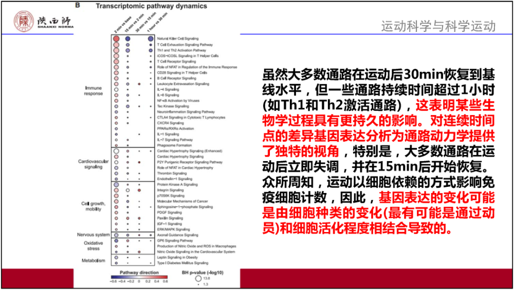 最准一肖100%最准的资料_精选作答解释落实_3DM30.93.91