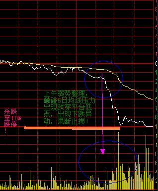 Kirklands家具盘中异动 下午盘大幅下跌5.49%报1.55美元