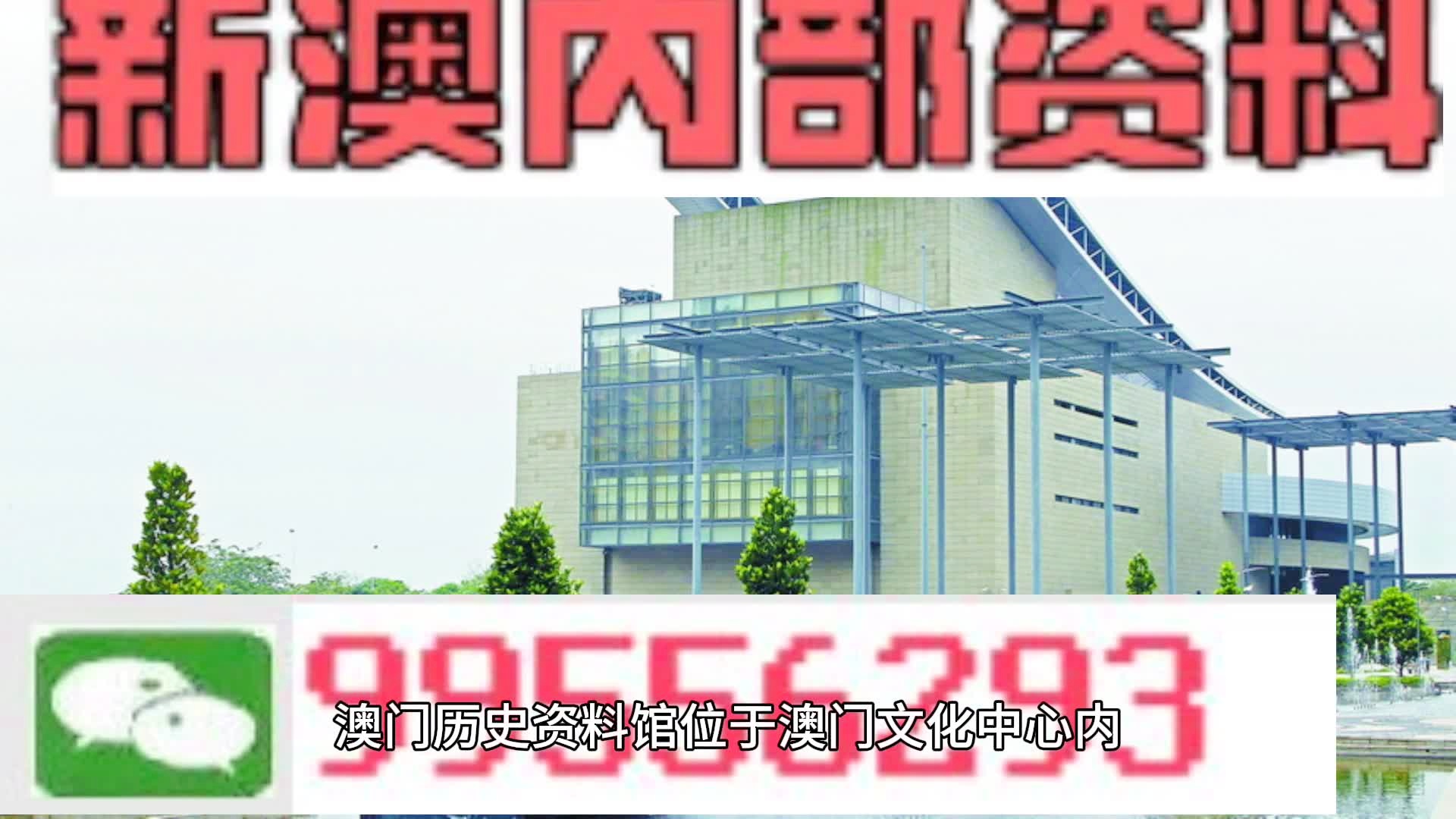 2024新澳门王中王正版_详细解答解释落实_安卓版713.777